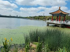 -长春市南湖公园