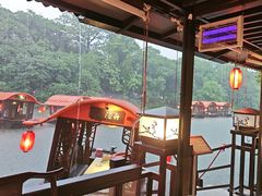 -侨美·唐荔园·40年地道粤菜