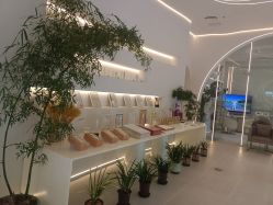 -紫琪尔·匠心连锁·胸部护理养护