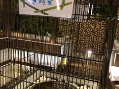 -固安来康郡来康温泉