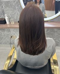-世田造型