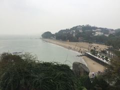 -鼓浪屿钢琴博物馆