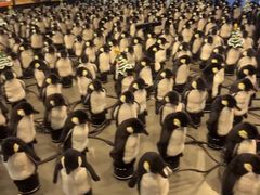 -北京SKP