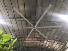 -石岐乳鸽村(桥观坊南四巷店)