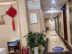 -碧莲盛·不剃发植发