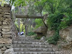 -原山国家森林公园