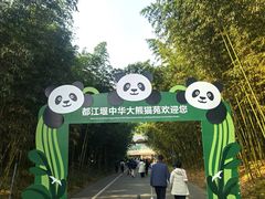 -都江堰中华大熊猫苑
