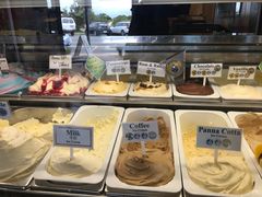 -Dooley's Premium Ice Cream