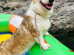 -安吉龙王山峡谷漂流