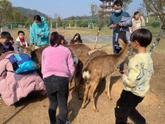 -宜春禅都文化博览园