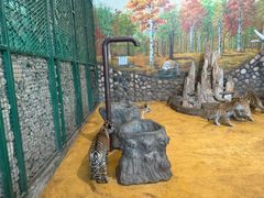 -横道河子东北虎林园