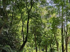 -火炉山森林公园