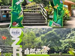 -宁波五龙潭景区