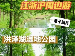 -泗洪洪泽湖湿地景区