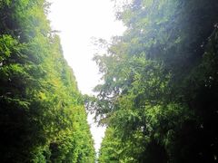 -山王坪喀斯特国家生态公园