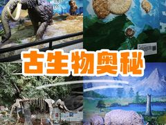 -中国第四纪冰川遗迹陈列馆