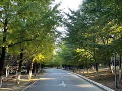 -长白岛森林公园