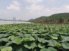 -云龙湖旅游景区