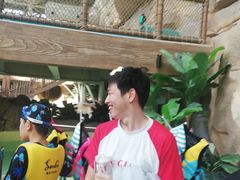 -杭州开元森泊度假乐园