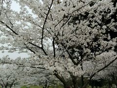 -江南大学(蠡湖校区)