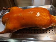 -宏运厨房·海鲜青岛菜·生日宴(城市阳台店)