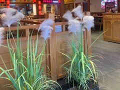 -鸽子窝(黄村店)