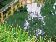 -晓港公园