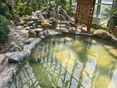 -瑞阁温泉酒店温泉中心