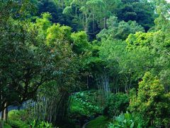 -火炉山森林公园