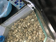 -盒马鲜生(莱蒙都会店)