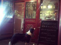 -百好乐宠物友好餐厅(朝外大街店)