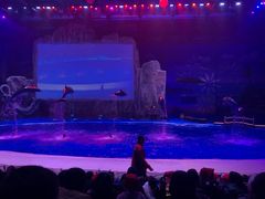 -华夏文旅海洋公园