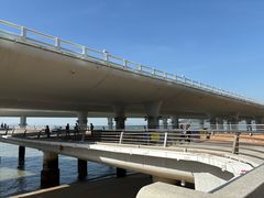 -演武大桥观景平台