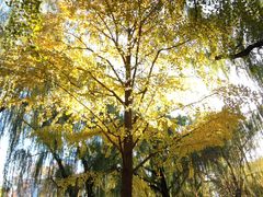 -社区便民服务餐厅(彰化南路店)