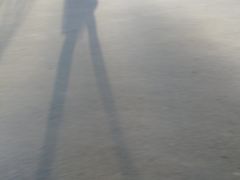 -奔跑吧乐园