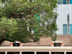 -中环半山扶手电梯