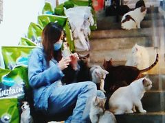 -more than meow吴止猫主题餐厅(承德 中船汇店)