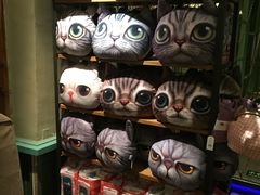 -猫咪博物馆(顶澳仔猫街店)