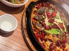 -老板恋上鱼(恒隆广场店)