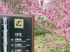 -元大都城垣遗址公园