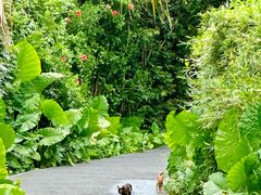 -华侨城湿地公园