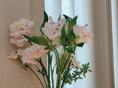 -Tomacado花厨(One ITC店)