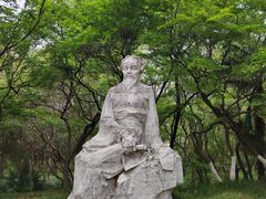 -南京古林公园