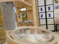 -平行世界·猫咖(首经贸店)