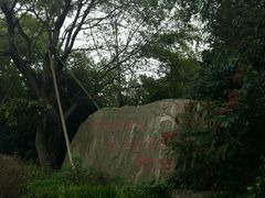 -吴淞炮台湾湿地森林公园烧烤区