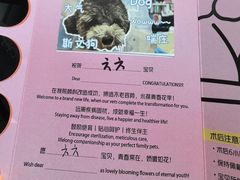 -美联众合动物医院·24h转诊中心