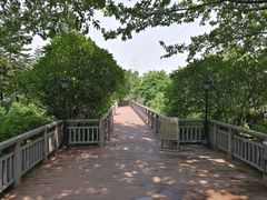 -广东花都湖国家湿地公园