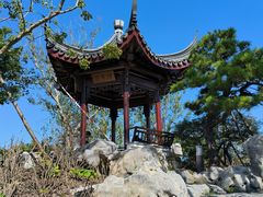 -上海滨江森林公园