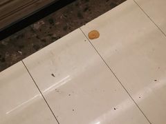 -1号火吧·吃着火锅·唱着歌
