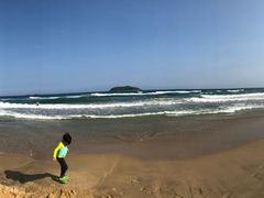 -元素中餐厅.海南菜.粤菜.椰子鸡.海鲜.包房.石梅湾威斯汀度假酒店
